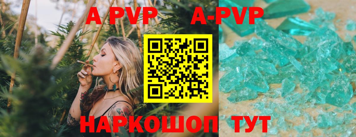 APVP СК Луга