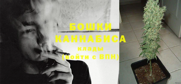 индика Майский