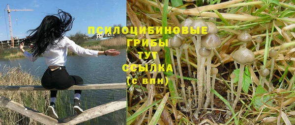 mdma Лиски