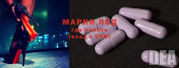 индика Лихославль