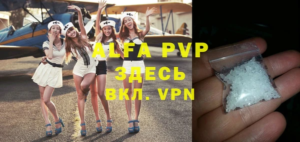 индика Майский