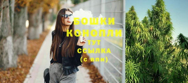 индика Майский