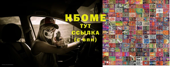 индика Майский