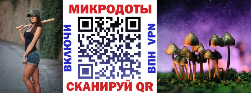 OMG tor  Луга  Псилоцибиновые грибы прущие грибы 