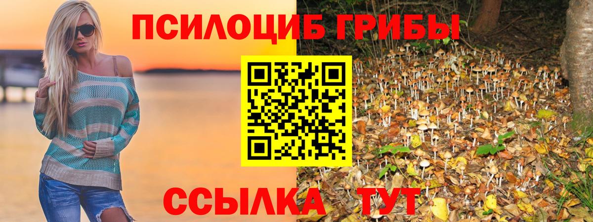 Луга  Псилоцибиновые грибы MAGIC MUSHROOMS  где купить   Псилоцибиновые грибы Cubensis  Вход с VPN 