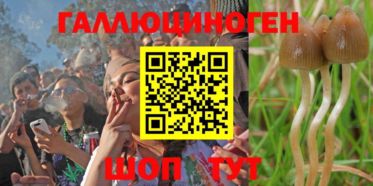 Галлюциногенные грибы мухоморы Луга